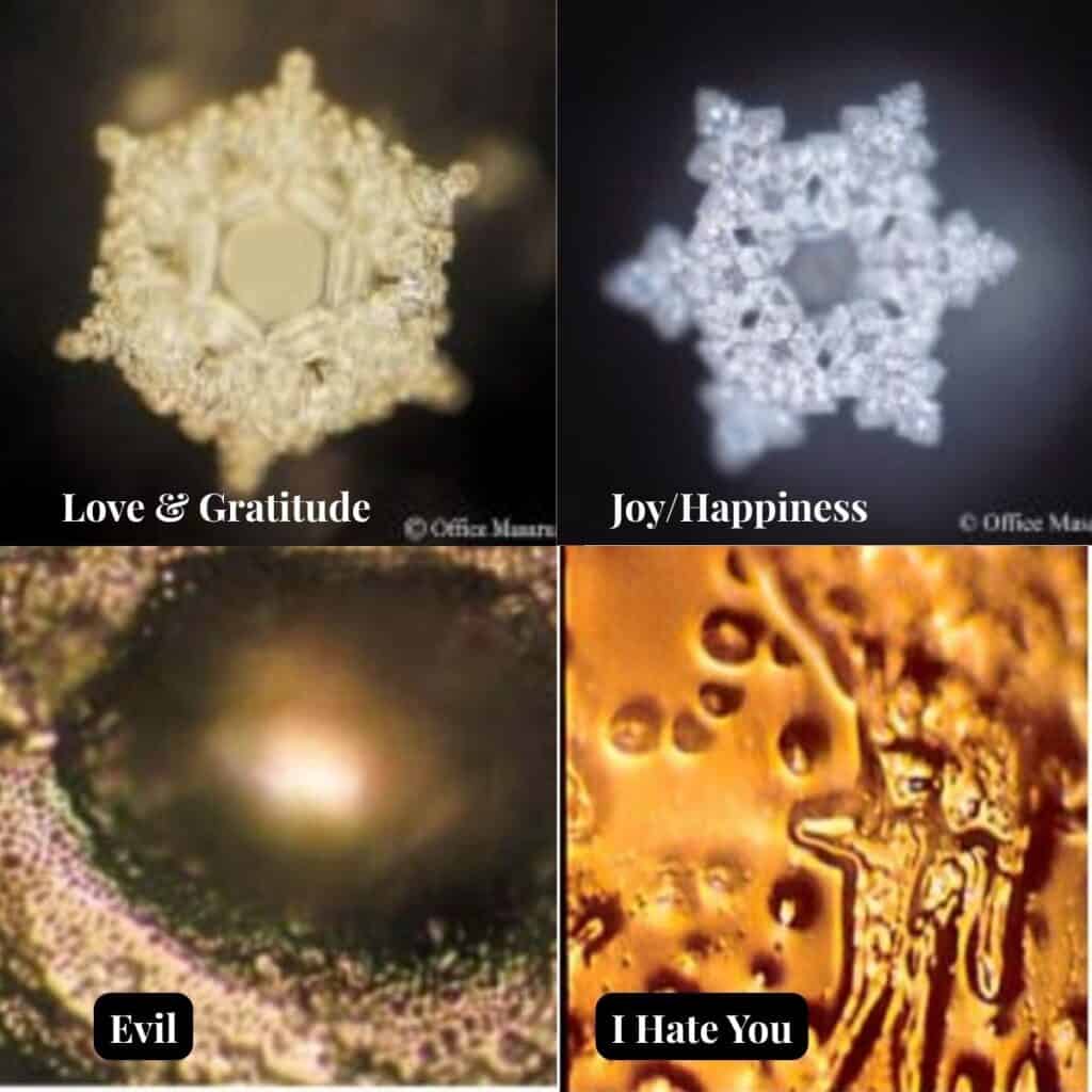 Collage of Dr. Masaru Emoto’s water crystal photographs showing “Love & Gratitude,” “Joy/Happiness,” “Evil,” and “I Hate You.” Courtesy of Office Masaru Emoto, used with permission.