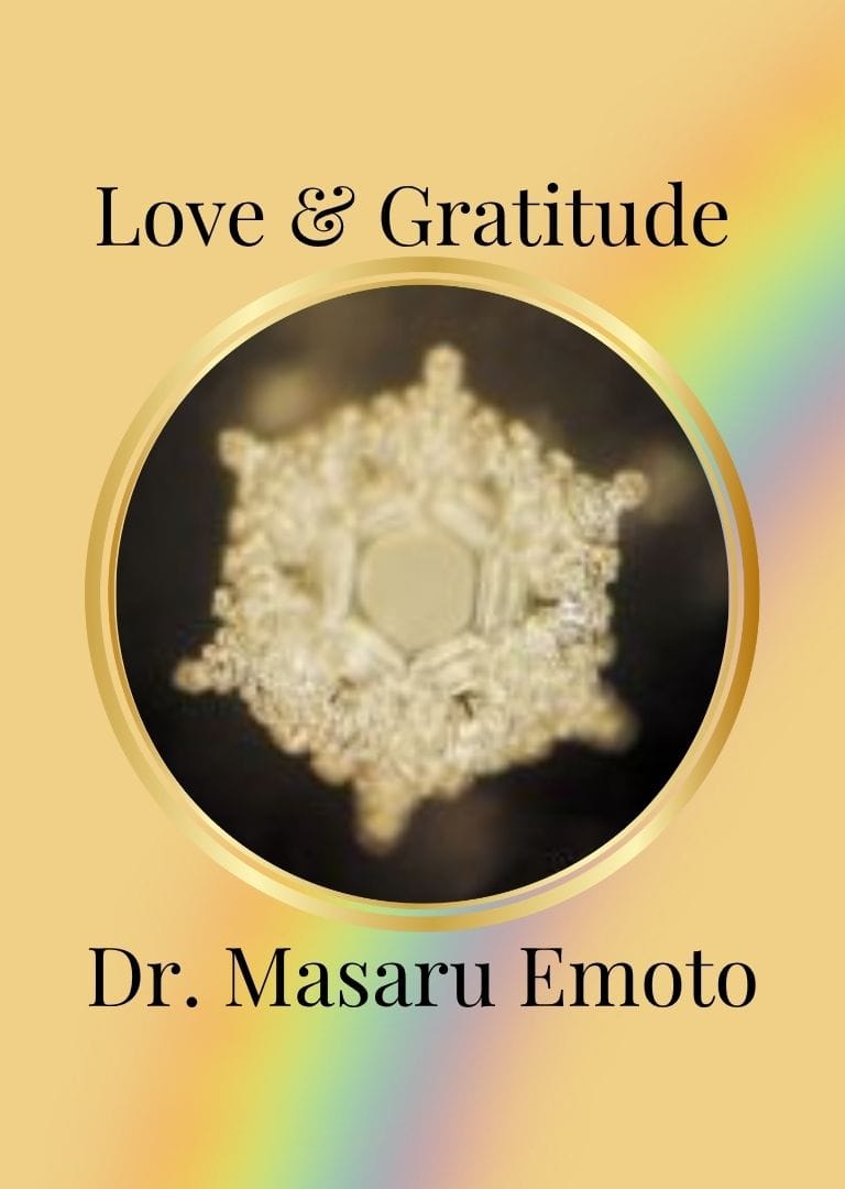 Love and Gratitude water crystal from Dr. Masaru Emoto’s experiment, forming a beautiful symmetrical snowflake-like pattern.