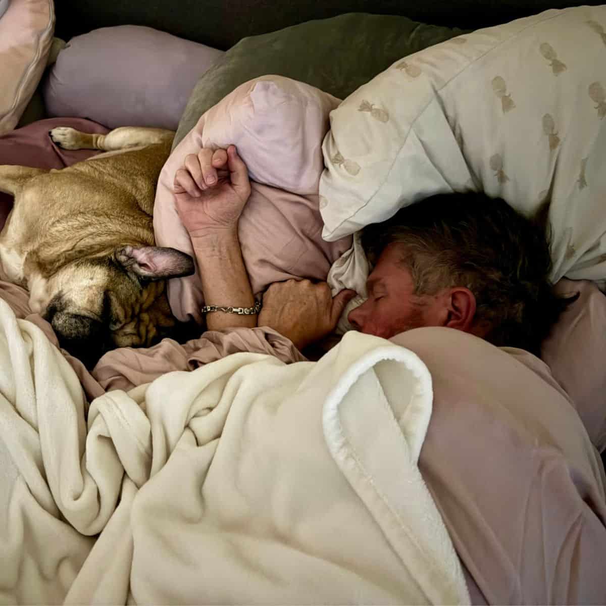 Scott sleeping peacefully with Jack the pug curled beside him, hands and paws touching under a cream blanket.